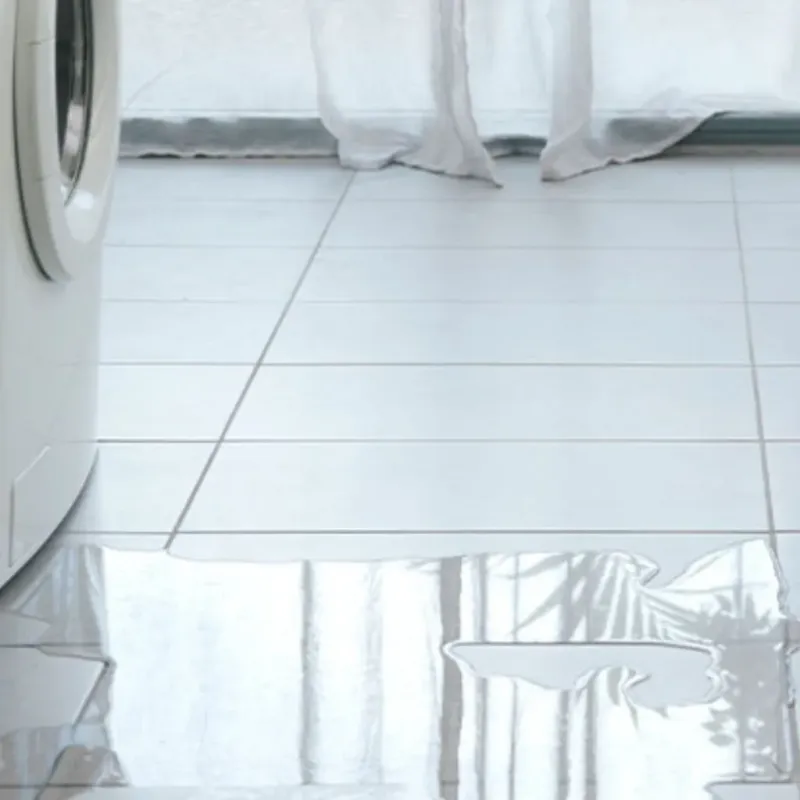 Appliance Leak Cleanup in Langley, SC